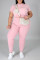 Pink Fashion Casual Solid Basic O Neck Plus Size Two Pieces