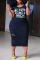 Black Casual Print Patchwork O Neck Pencil Skirt Plus Size Dresses