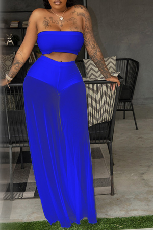 Blue Sexy Solid Mesh Strapless Sleeveless Two Pieces