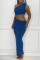 Blue Fashion Sexy Solid Backless One Shoulder Sleeveless Two Pieces (Without Waist Chain)