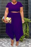 Purple Sexy Solid Patchwork O Neck Plus Size Two Pieces