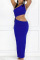 Blue Sexy Solid Patchwork Frenulum Oblique Collar Sleeveless Two Pieces