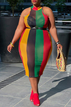 Multicolor Sexy Plus Size Striped See-through Without Belt Half A Turtleneck Sleeveless Dress