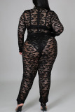 Rose Red Sexy Solid Patchwork See-through O Neck Plus Size Two Pieces