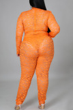 Tangerine Sexy Solid Patchwork See-through O Neck Plus Size Two Pieces