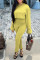 Yellow Fashion Casual Solid Basic O Neck Long Sleeve Two Pieces