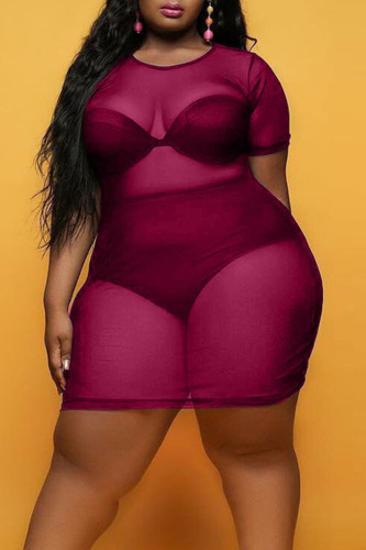 Burgundy Sexy Solid Patchwork See-through O Neck Straight Plus Size Dresses
