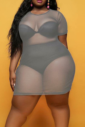 White Sexy Solid Patchwork See-through O Neck Straight Plus Size Dresses