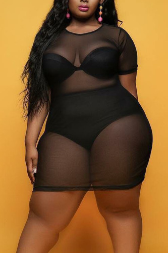 Black Sexy Solid Patchwork See-through O Neck Straight Plus Size Dresses