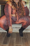 Snake Print Sexy Casual Print Bandage Hollowed Out Off the Shoulder Plus Size Jumpsuits