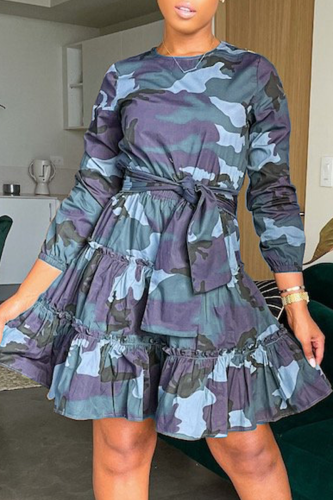 Blue Casual Print Patchwork O Neck Cake Skirt Dresses