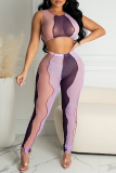 Purple Sexy Solid Mesh O Neck Sleeveless Two Pieces