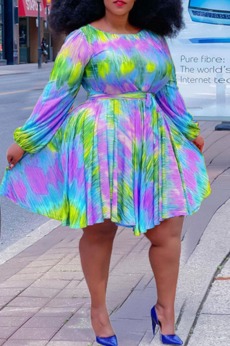 Blue Fashion Casual Plus Size Print Basic O Neck Long Sleeve Dresses