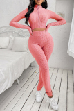 Pink Casual Sportswear Solid Basic Zipper Collar Long Sleeve Two Pieces