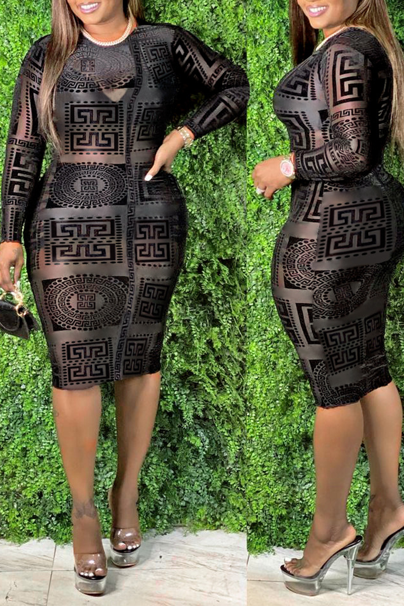 

Black Sexy Print Mesh O Neck Pencil Skirt Dresses