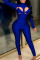Royal Blue Sexy Solid Hollowed Out Patchwork Half A Turtleneck Long Sleeve Two Pieces