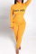 Yellow Fashion Casual Letter Print Basic Turtleneck Long Sleeve Two Pieces