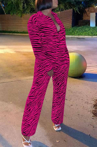 Rose Red Casual Animal Print Patchwork Turndown Collar Long Sleeve Two Pieces