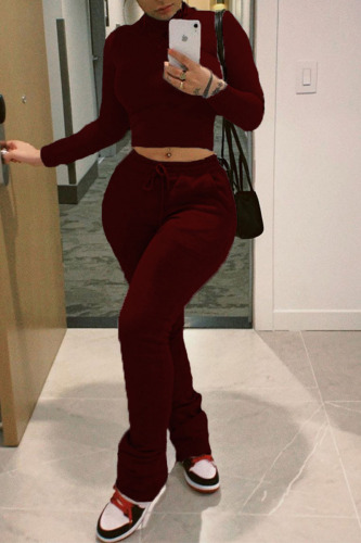 Burgundy Casual Solid Patchwork Half A Turtleneck Long Sleeve Two Pieces