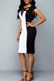 Black And White British Style Solid Hollowed Out Patchwork Knotted Asymmetrical Collar Straight Dresses