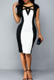 Black And White British Style Solid Hollowed Out Patchwork Knotted Asymmetrical Collar Straight Dresses