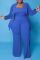Royal Blue Casual Solid Patchwork Plus Size Two Pieces