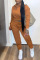 Brown Fashion Casual Solid Basic Zipper Collar Long Sleeve Two Pieces
