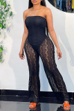 Black Fashion Sexy Patchwork See-through Backless Strapless Regular Jumpsuits
