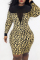 Leopard Print Sexy Casual Print Split Joint See-through O Neck Long Sleeve Dresses
