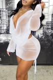 White Sexy Solid Mesh V Neck Long Sleeve Two Pieces