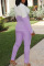 Light Purple Casual Work Solid Split Joint Slit Turn-back Collar Long Sleeve Two Pieces