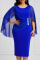 Blue Sexy Solid Mesh O Neck Pencil Skirt Dresses