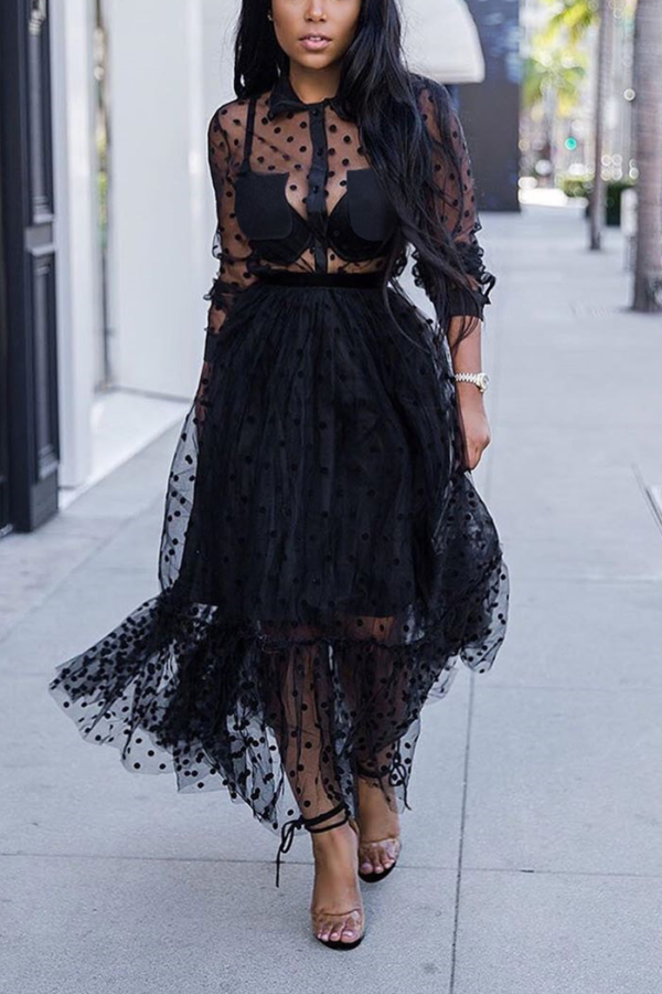 Black Sexy Mesh Long Sleeve Perspective Dress