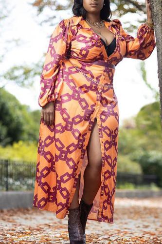 Brown Casual Print Patchwork Buckle Turndown Collar Straight Plus Size Dresses