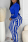 Peacock Blue Sexy Casual Patchwork Tassel V Neck Long Sleeve Two Pieces