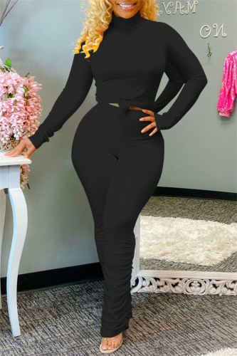 Black Fashion Casual Solid Fold Turtleneck Long Sleeve Two Pieces