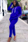 Blue Casual Solid Two Piece Suits Straight Long Sleeve Two-piece Pants Set