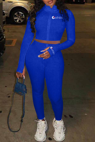 Blue Fashion Casual Embroidery Solid Color Zipper Collar Long Sleeve Two Pieces