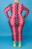 Pink Fashion Casual Print Basic O Neck Long Sleeve Plus Size Dresses