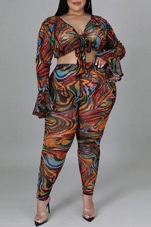 Tiger Pattern Fashion Casual Print Bandage V Neck Plus Size Two Pieces