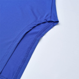 Blue Fashion Casual Print Basic O Neck Plus Size Two Pieces
