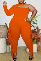 Tangerine Red Sexy Solid Tassel Hollowed Out Patchwork Without Belt Halter Plus Size Two Pieces