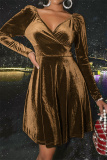 Brown Fashion Sexy Solid Basic V Neck Long Sleeve Dresses