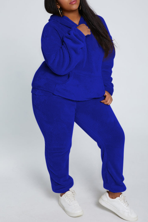 Royal Blue Fashion Casual Solid Basic Hooded Collar Long Sleeve Two Pieces