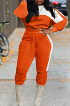 Orange Fashion Casual Patchwork Basic O Neck Plus Size Two Pieces