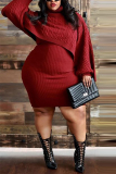 Pink Fashion Casual Turtleneck Sweater Two-Piece