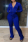 Royal Blue Fashion Casual Solid Basic Hooded Collar Long Sleeve Two Pieces