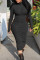 Black Fashion Casual Solid Zipper Turtleneck Long Sleeve Dresses