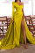Yellow Elegant Print Patchwork Asymmetrical Asymmetrical Collar Evening Dress Dresses