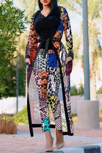 Snake Print Casual Print Patchwork Long Sleeve Two Pieces